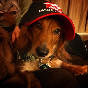 Meet your Posher, Tara